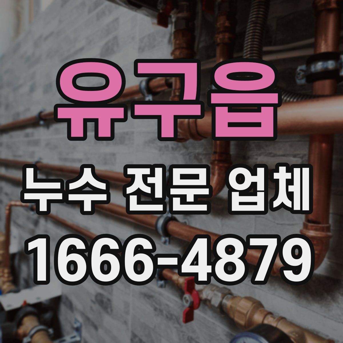 유구읍 누수 전문 업체