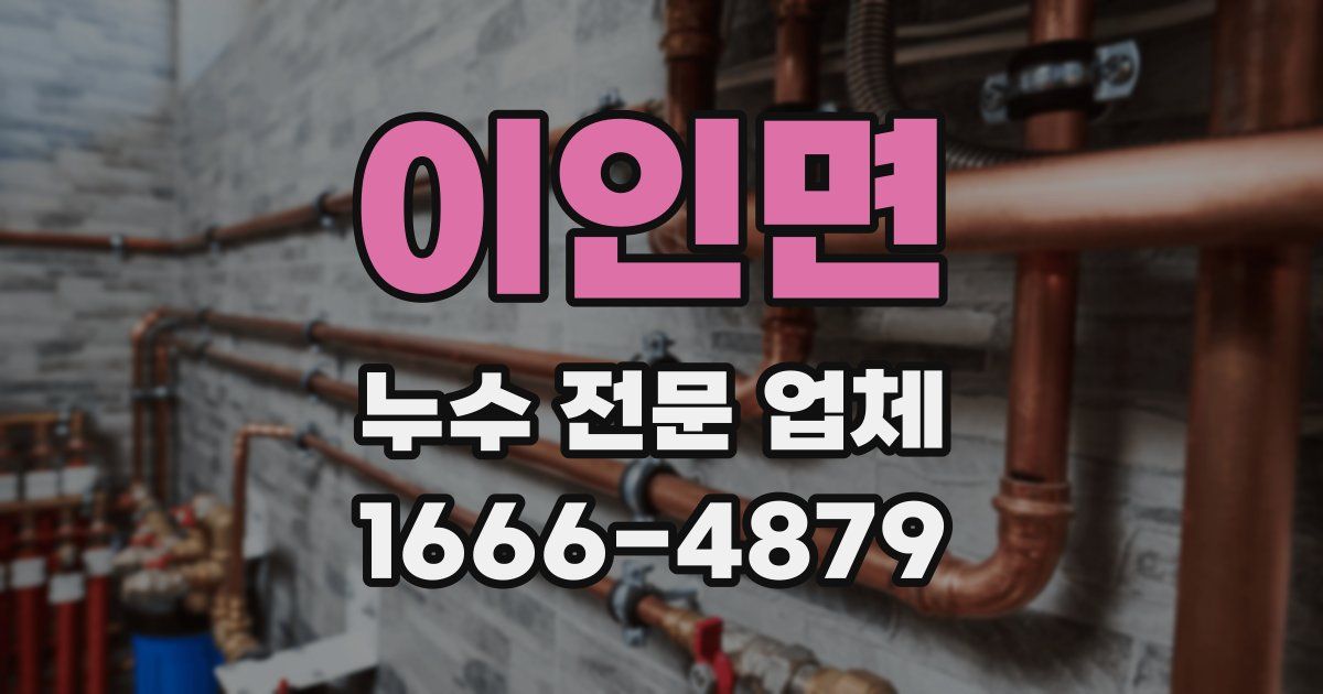 이인면 누수 전문 업체