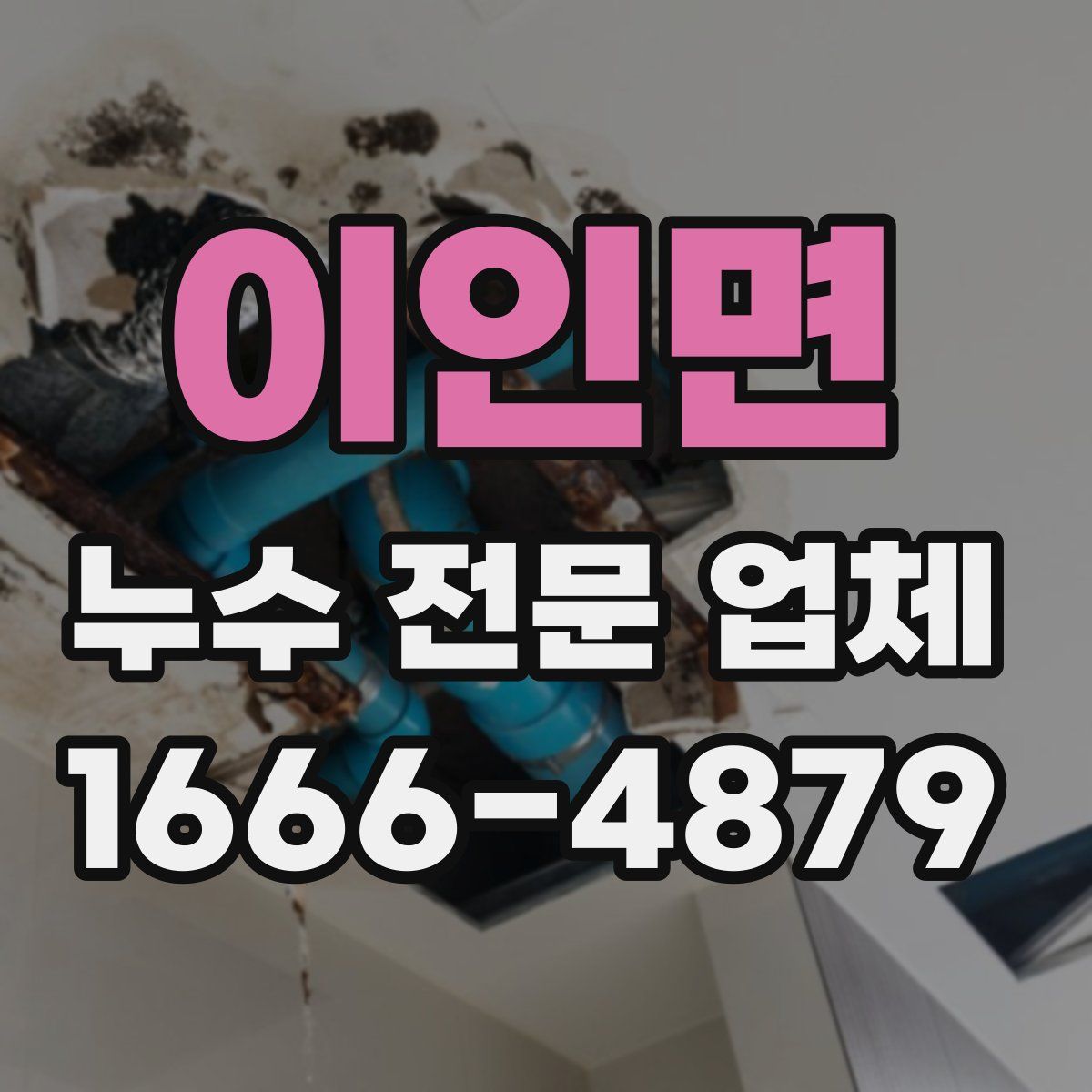 이인면 누수 전문 업체