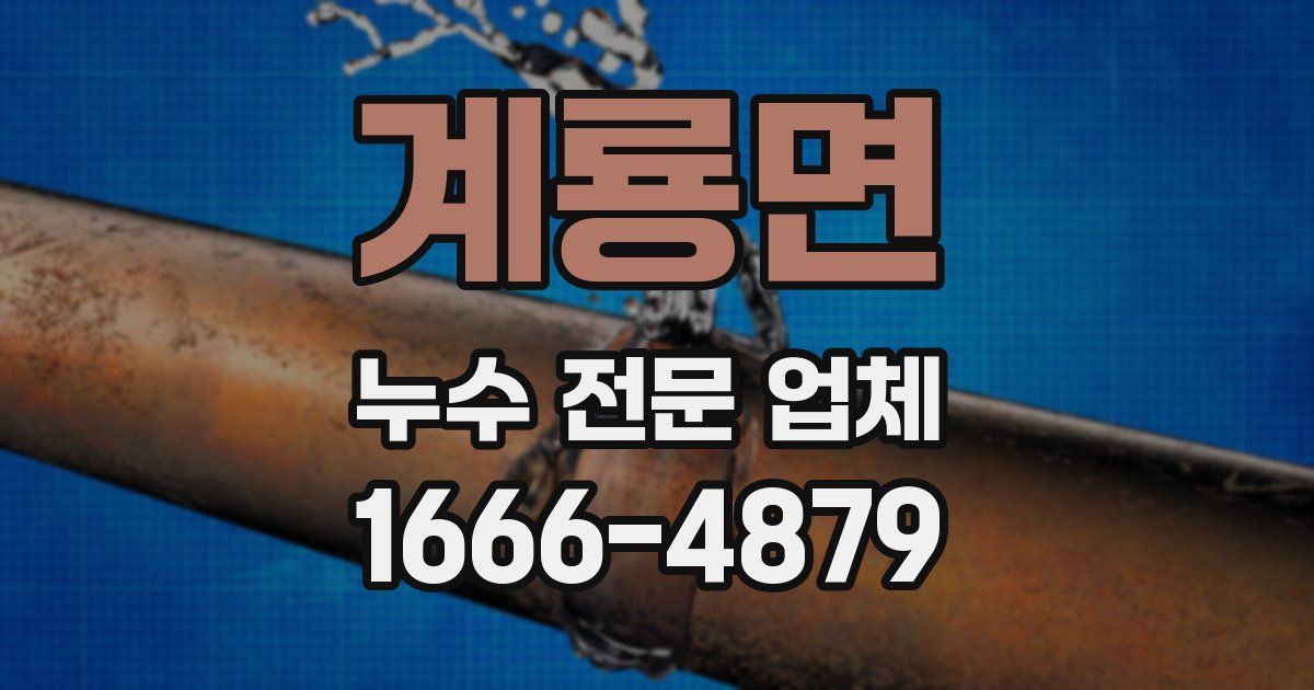 계룡면 누수 전문 업체