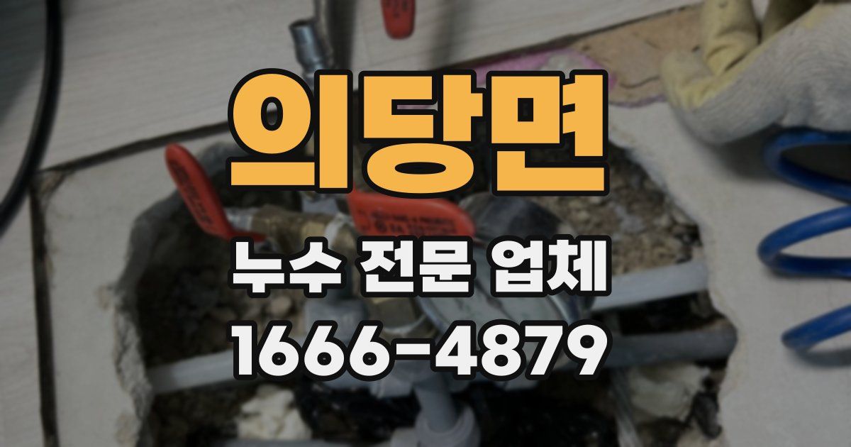 의당면 누수 전문 업체