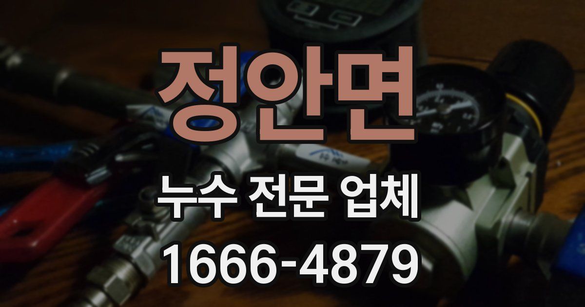 정안면 누수 전문 업체