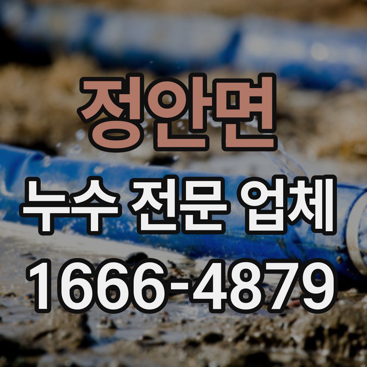 정안면 누수 전문 업체