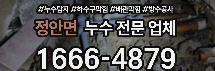 정안면 누수 전문 업체