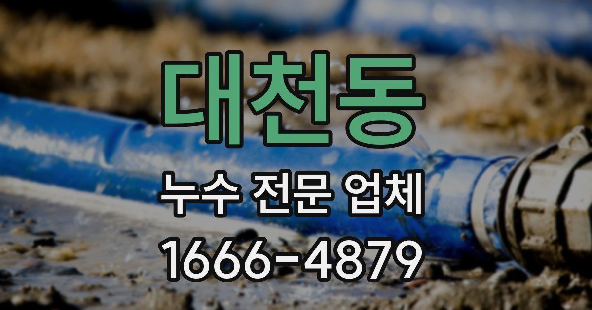 대천동 누수 전문 업체