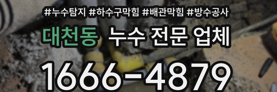 대천동 누수 전문 업체
