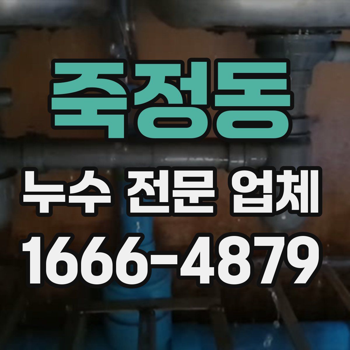 죽정동 누수 전문 업체