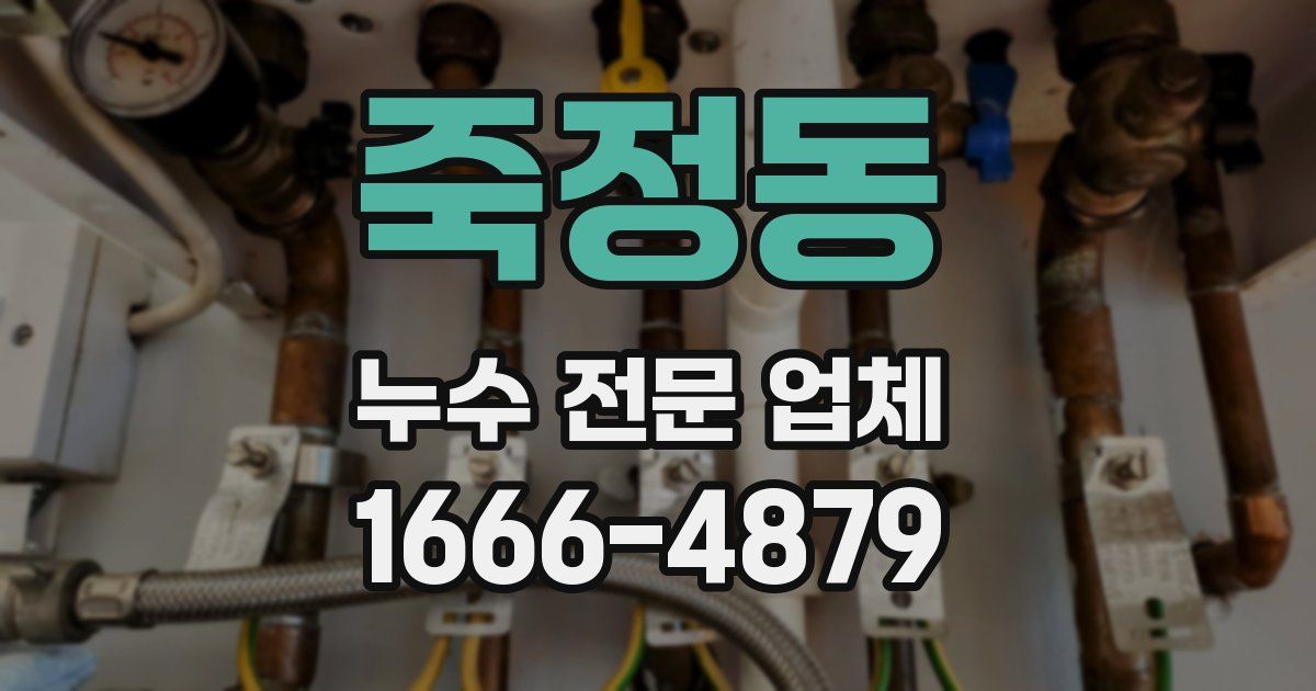 죽정동 누수 전문 업체