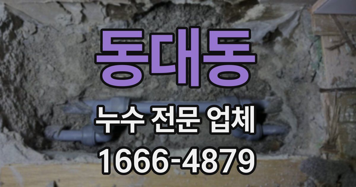 동대동 누수 전문 업체