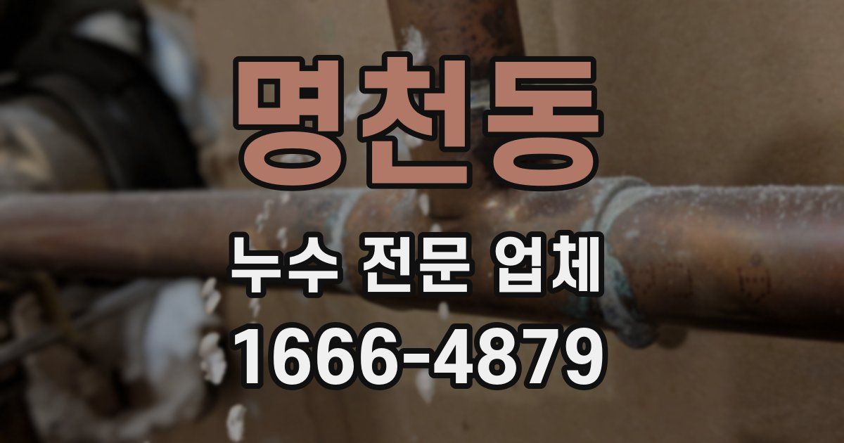 명천동 누수 전문 업체