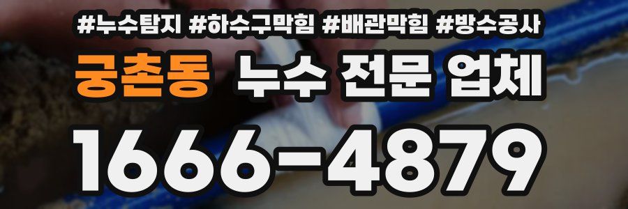 궁촌동 누수 전문 업체