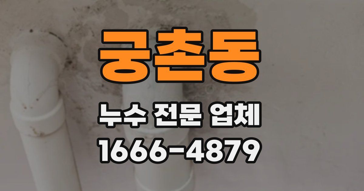 궁촌동 누수 전문 업체