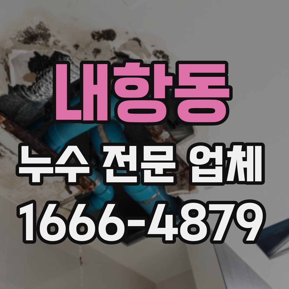 내항동 누수 전문 업체