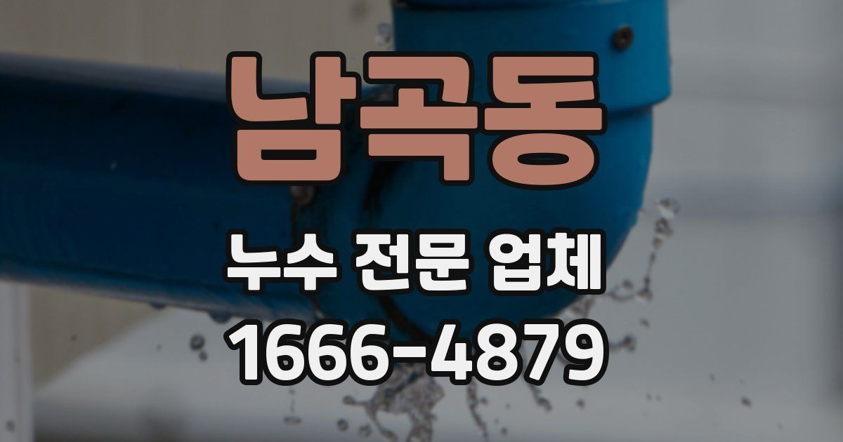 남곡동 누수 전문 업체