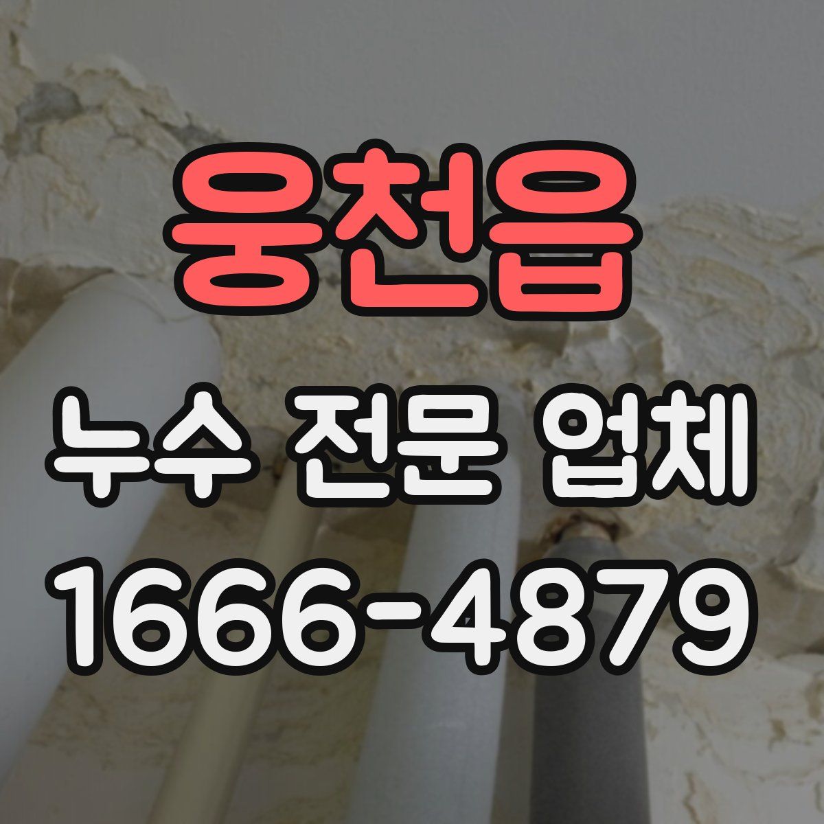 웅천읍 누수 전문 업체