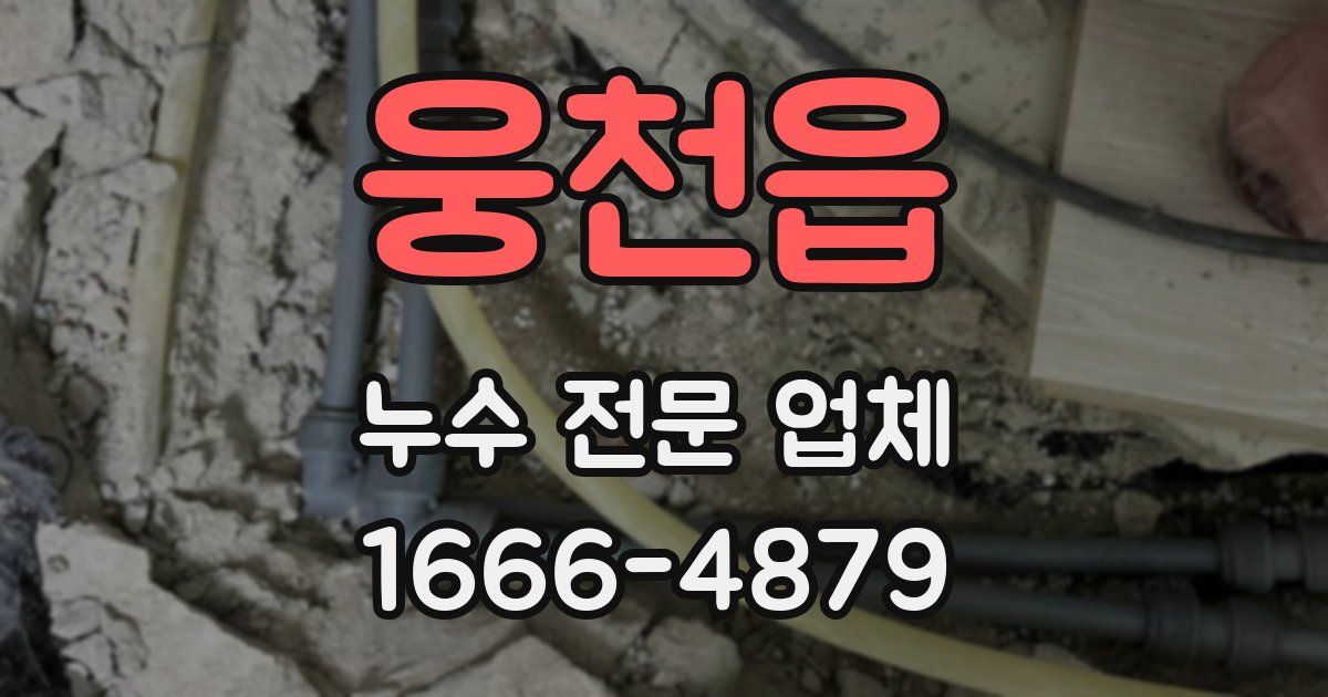 웅천읍 누수 전문 업체