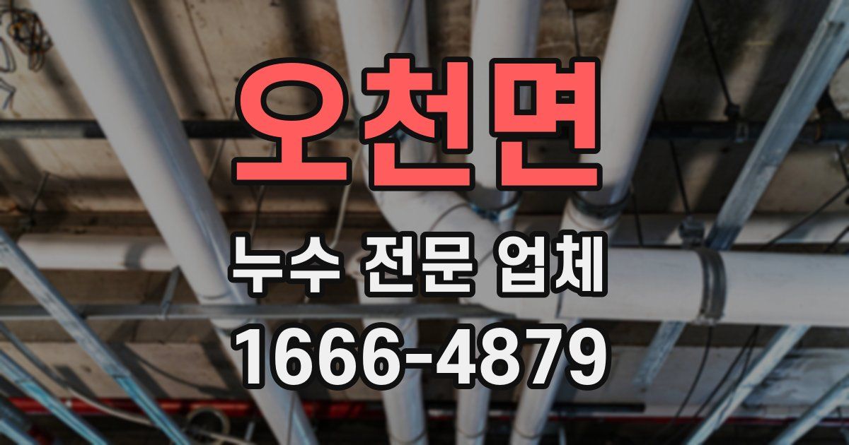 오천면 누수 전문 업체