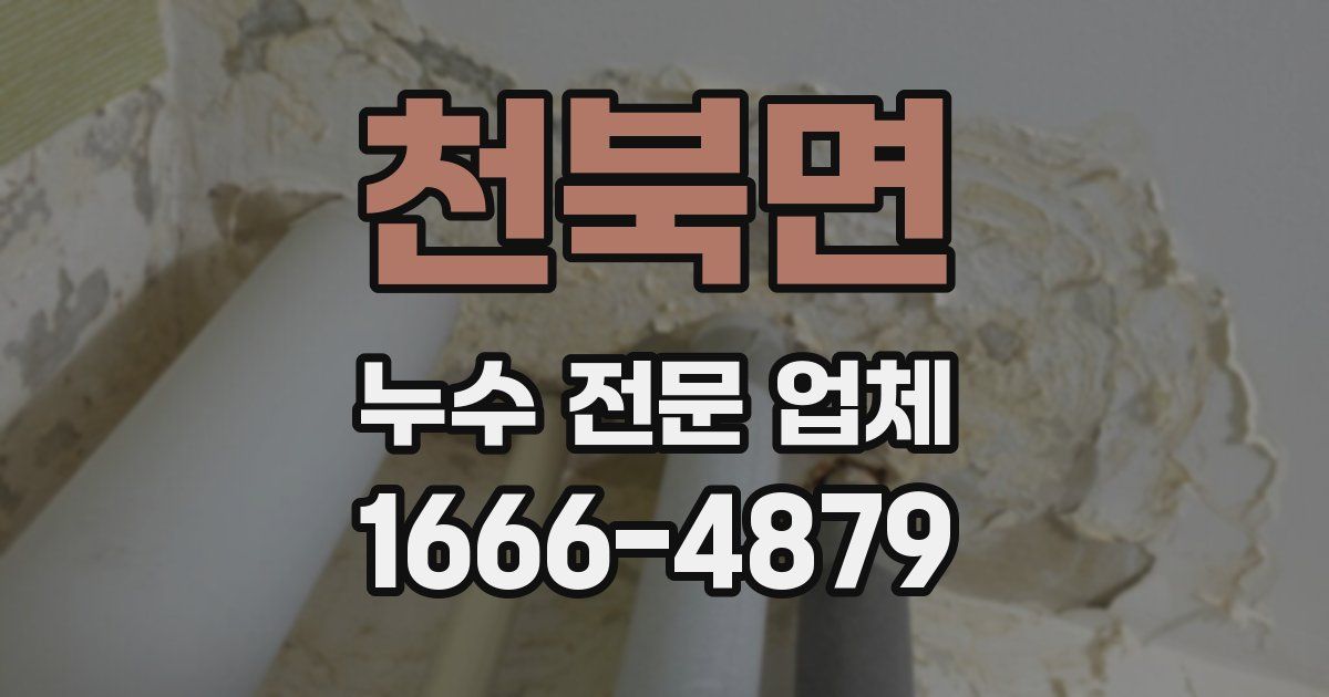 천북면 누수 전문 업체
