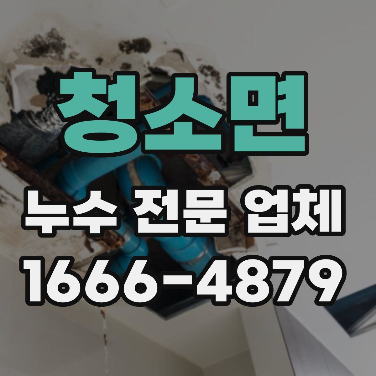 청소면 누수 전문 업체