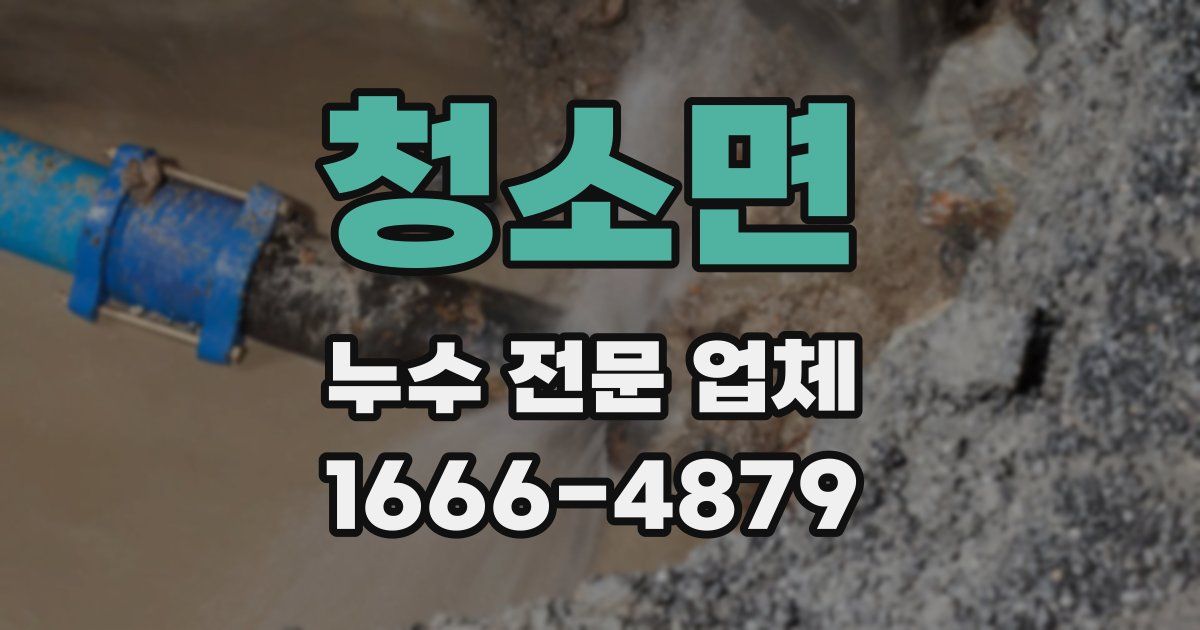 청소면 누수 전문 업체