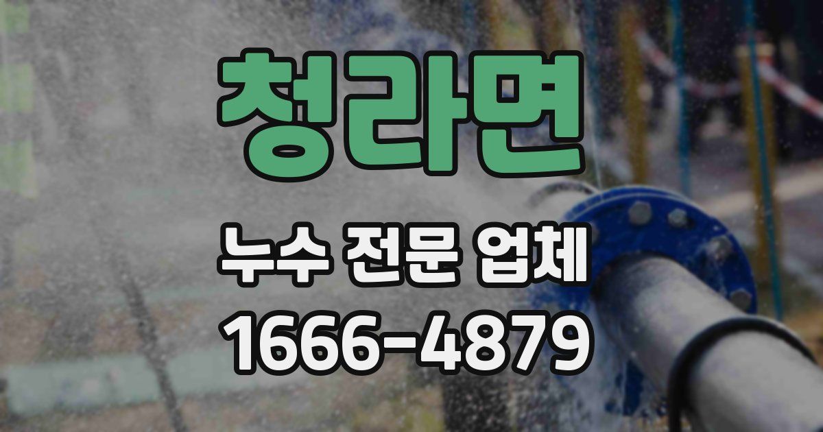 청라면 누수 전문 업체