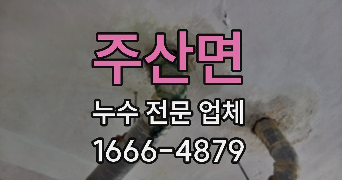 주산면 누수 전문 업체