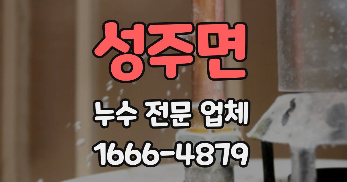 성주면 누수 전문 업체