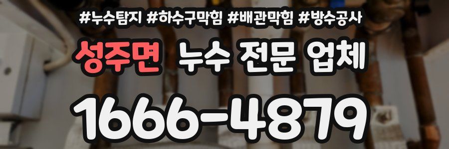 성주면 누수 전문 업체