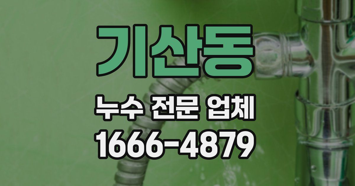 기산동 누수 전문 업체