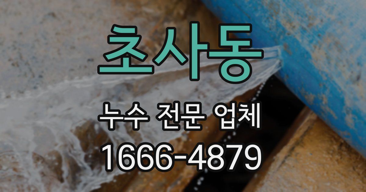 초사동 누수 전문 업체