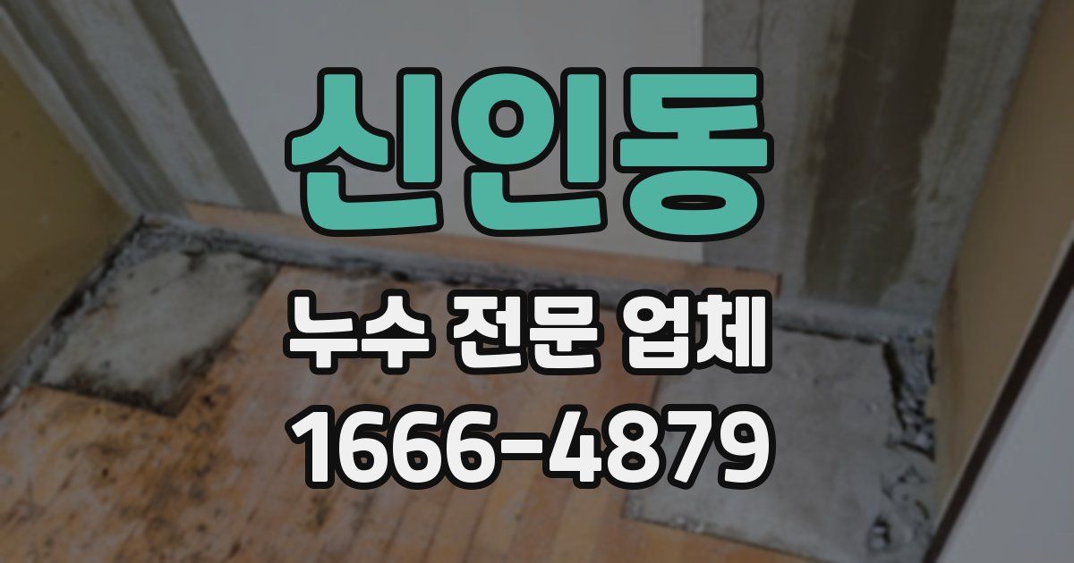신인동 누수 전문 업체