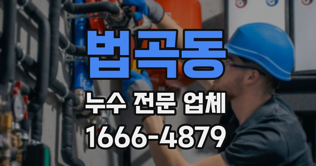 법곡동 누수 전문 업체