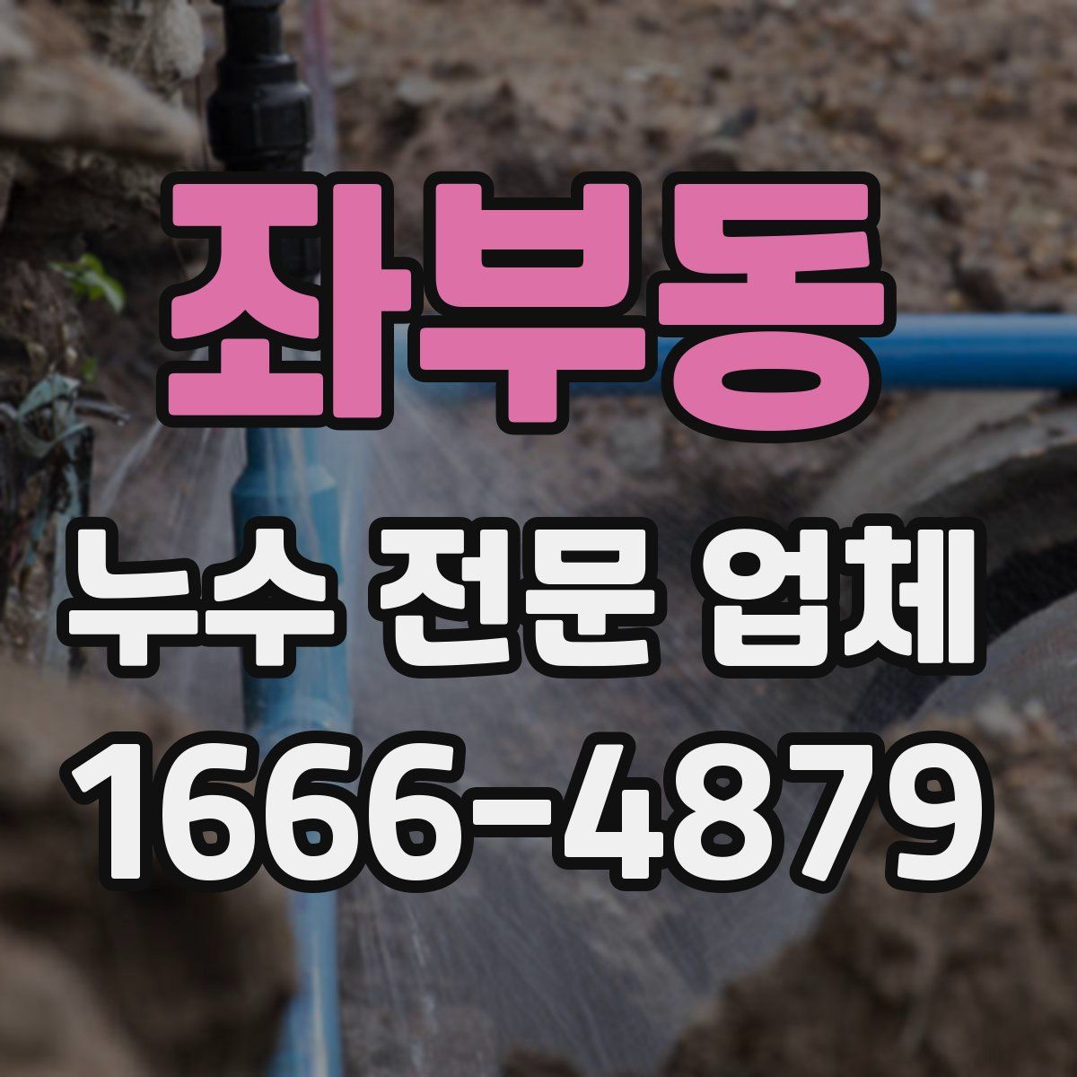 좌부동 누수 전문 업체