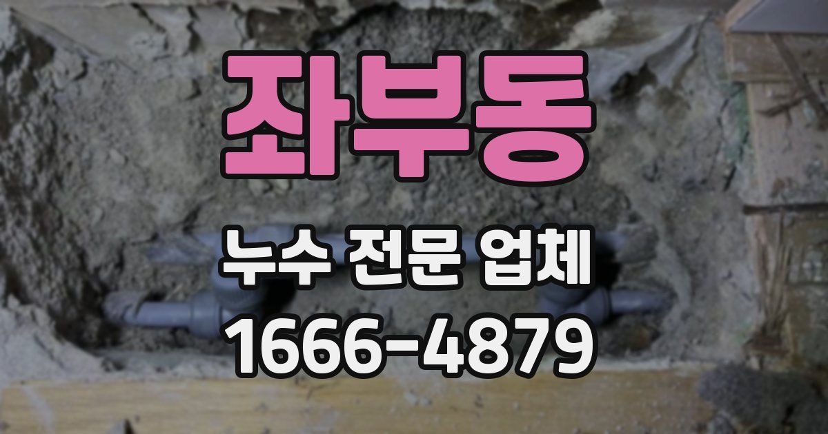 좌부동 누수 전문 업체