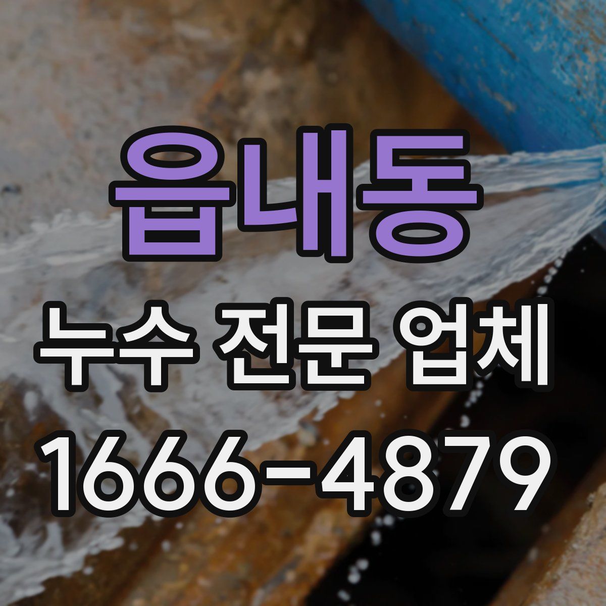 읍내동 누수 전문 업체
