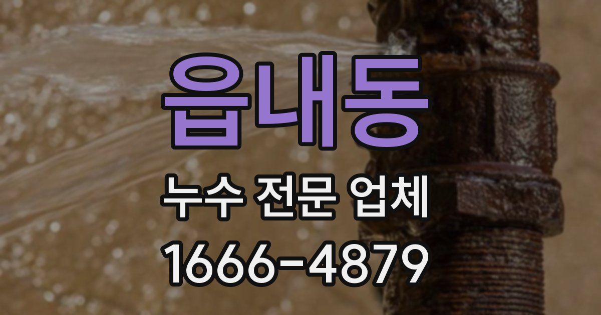 읍내동 누수 전문 업체