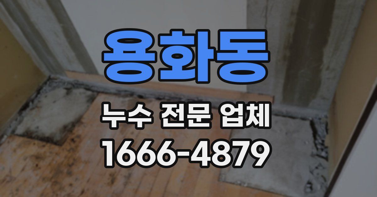 용화동 누수 전문 업체
