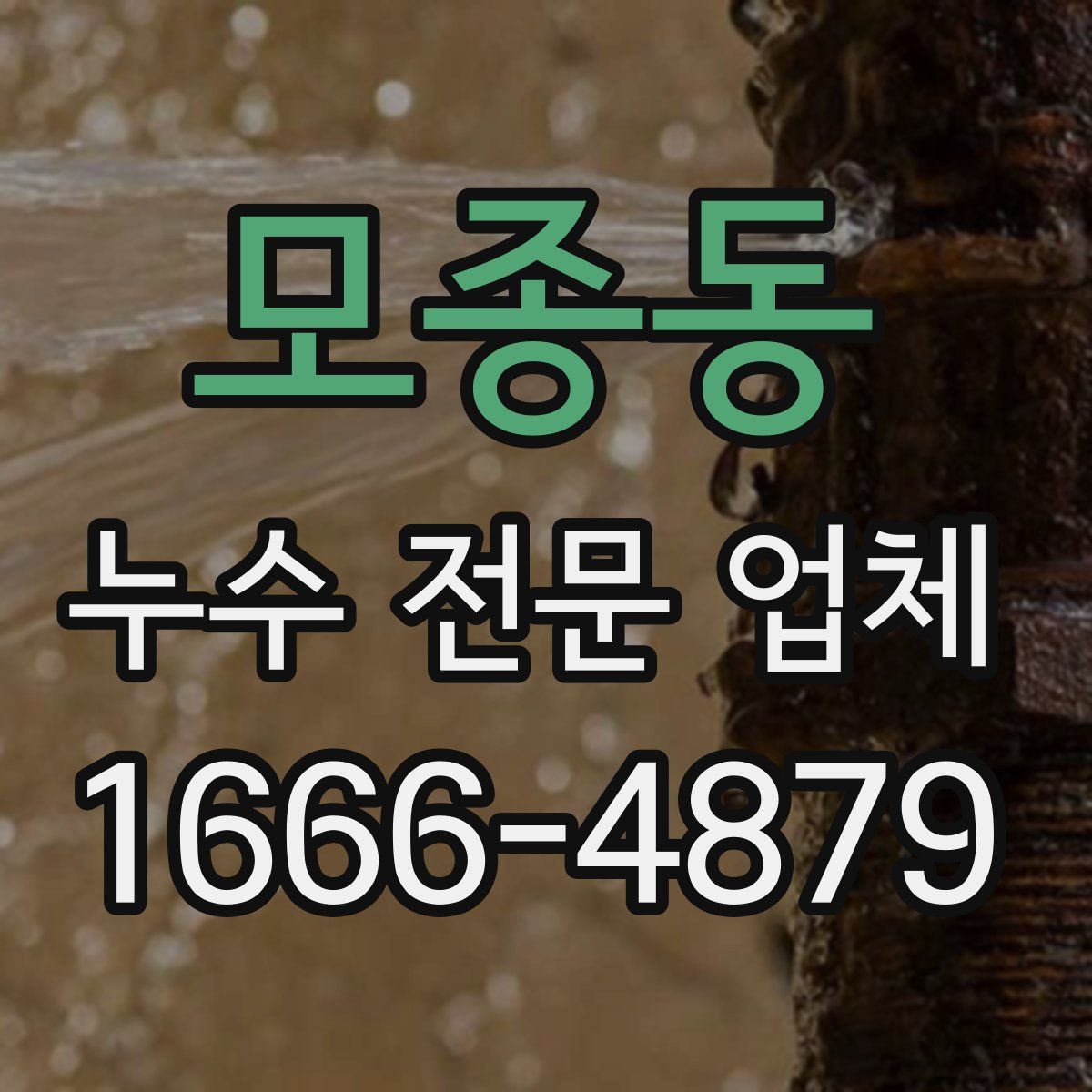모종동 누수 전문 업체