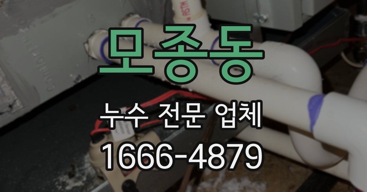 모종동 누수 전문 업체