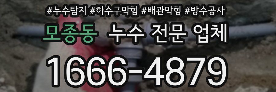 모종동 누수 전문 업체