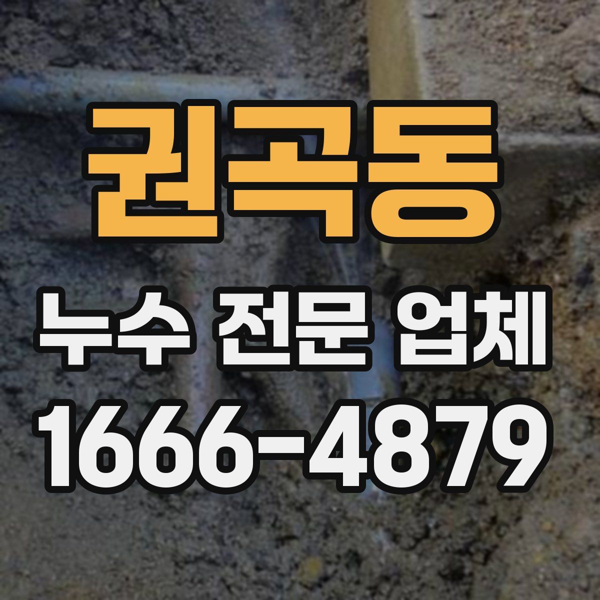 권곡동 누수 전문 업체