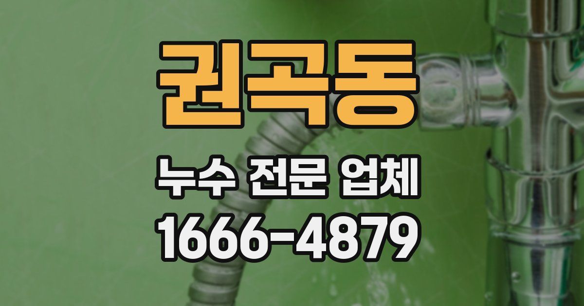 권곡동 누수 전문 업체