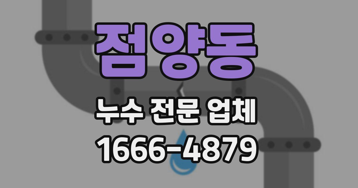 점양동 누수 전문 업체