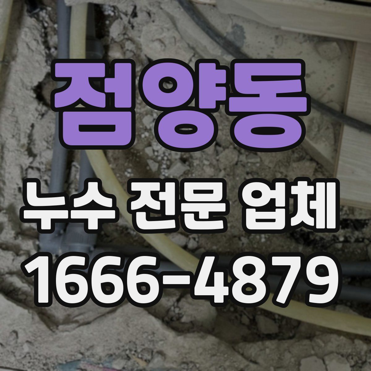 점양동 누수 전문 업체