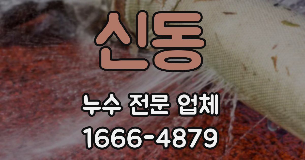 신동 누수 전문 업체