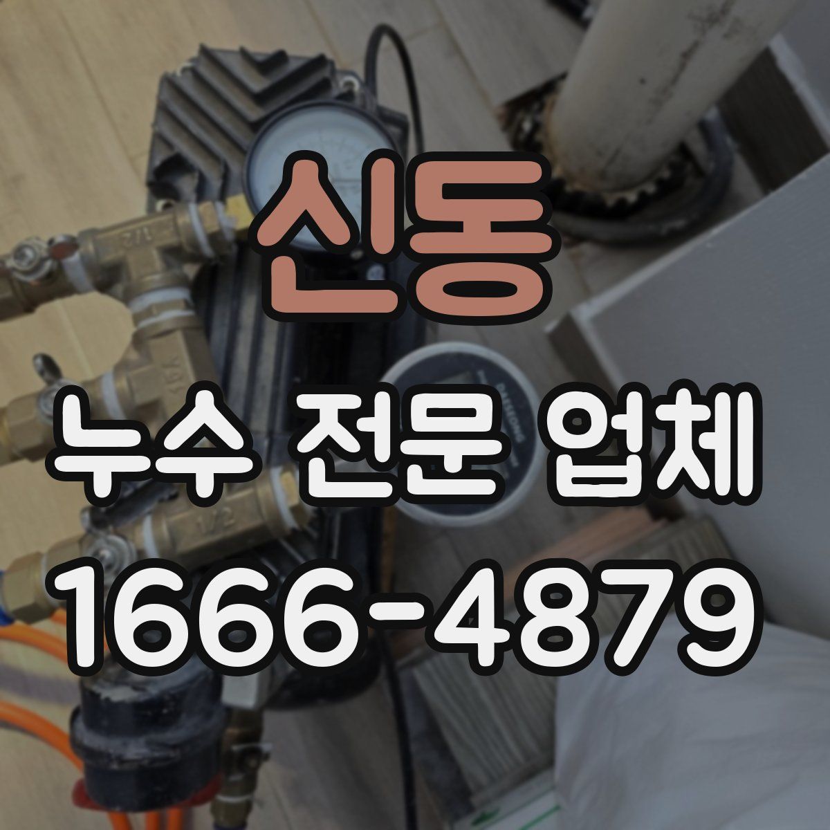 신동 누수 전문 업체