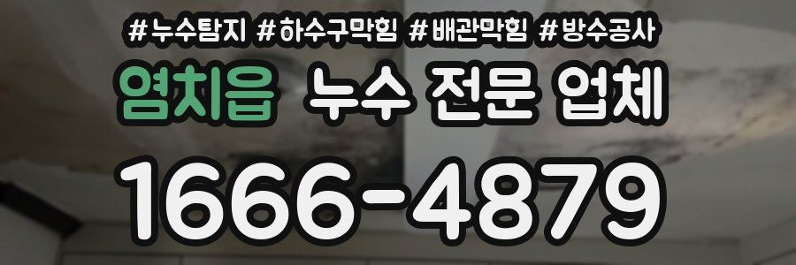 염치읍 누수 전문 업체