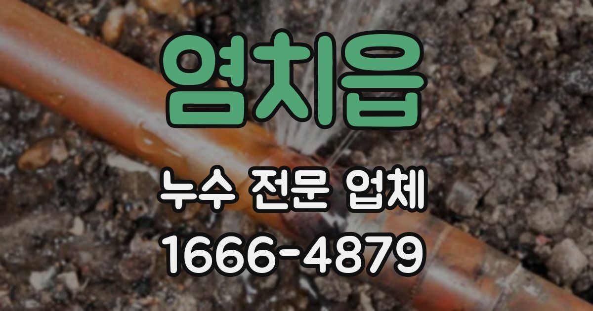 염치읍 누수 전문 업체
