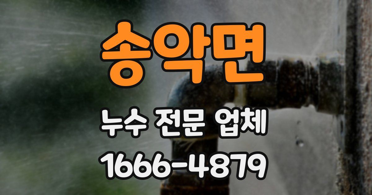 송악면 누수 전문 업체