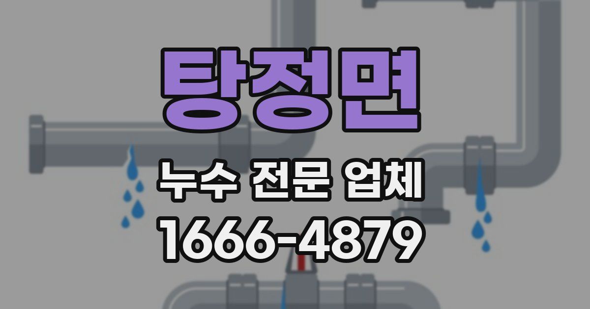 탕정면 누수 전문 업체